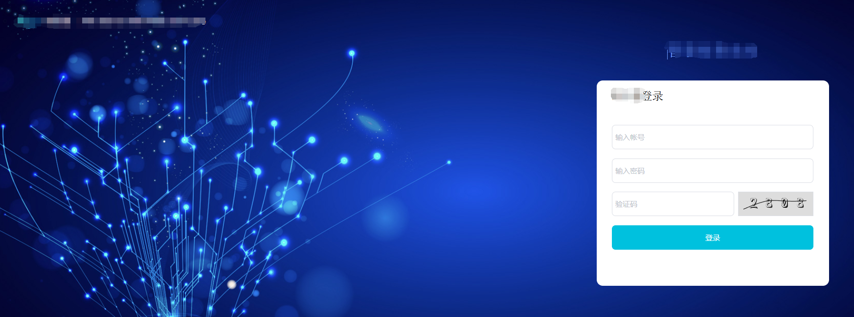 image-20250106103151908