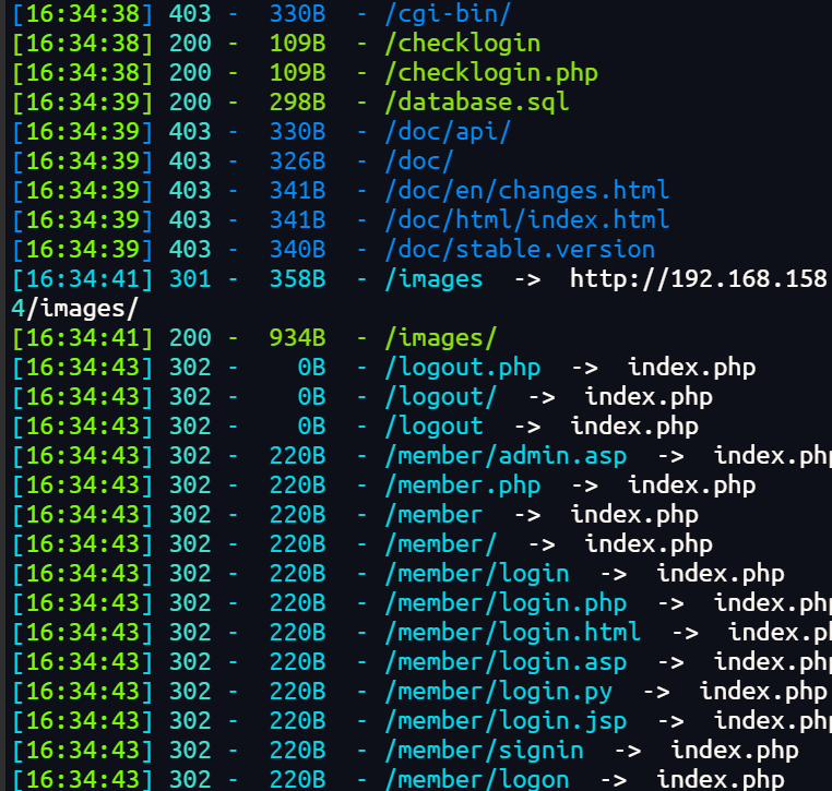 image-20250325163501087