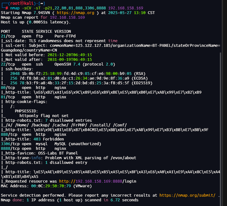 image-20250527131033100