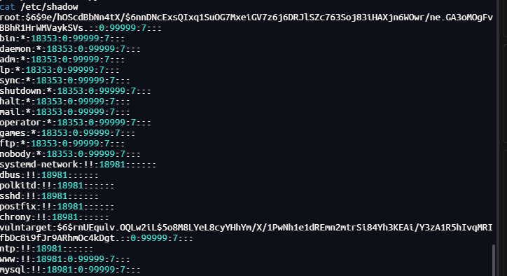 image-20250527192101862