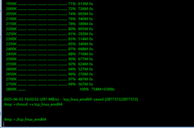 image-20250603000349382