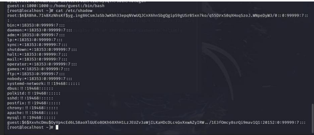 image-20250627195857217