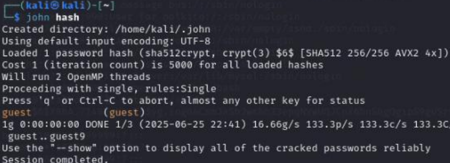 image-20250627195935202