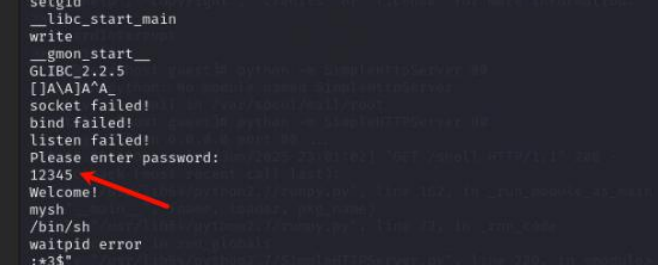 image-20250627200214148